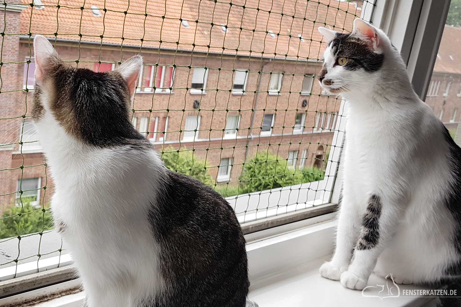 Fenstersicherung für Katzen ohne Bohren selber bauen - DIY